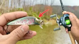 Fall SMALLMOUTH Bass Love this CRANKBAIT !!