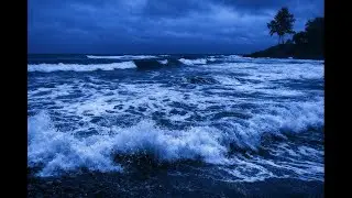 Soothing Night Waves: The Ultimate Beach Ambience for Fast, Deep Sleep