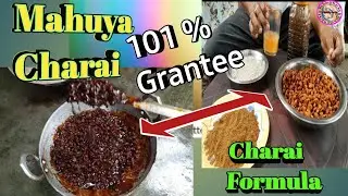 Mahuya Charai 101% Grantee A Charai Formula Rohu Blake Rohu Katla Mrigel Grasscarp Comon Carp Etc
