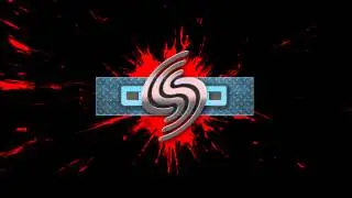 Intro WS DsD
