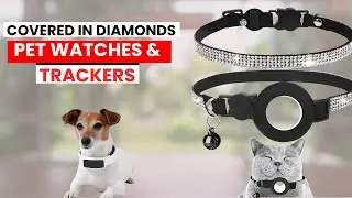 Часы и трекеры для домашних животных, украшенные бриллиантами || Роскошь и технологии для элитных...