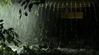 Rain Sound Therapy Retreat: A Day of Refreshing Rain Sounds for Body and Mind