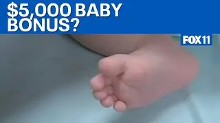 $5,000 baby bonus proposed to increase birth rate in US  | FOX 11 LA