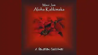 Hawaiian Santa