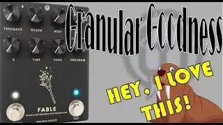 Granular Delay Rules !! | Walrus Audio Fable