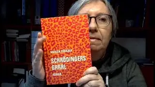 Marlen Hobrack: Schr&ouml;dingers Grrrl (Roman)