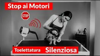 Soffiatore phon silenzioso per cani professionale da toelettature che vogliono il meglio