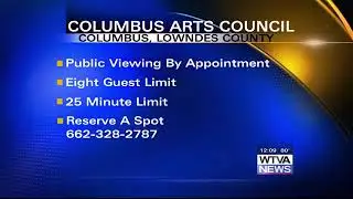Columbus Arts Council reopens with limitations