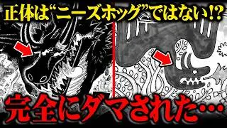 ロキの能力最終結論。ニーズホッグではないその正体とは!?※ネタバレ 注意【 ワンピース 最新 1174話 】