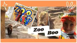 Indianapolis Zoo Boo // Meet the Foxes Vlog