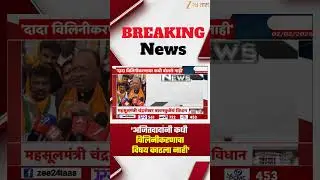 Chandrashekhar Bawankule | 'अजितदादांनी कधी विलिनीकरणाचा विषय काढला नाही'; बावनकुळेंचं वक्तव्य