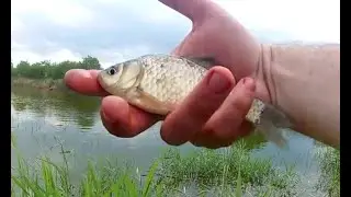 Pescuit lac salbatic Vrancea 2020