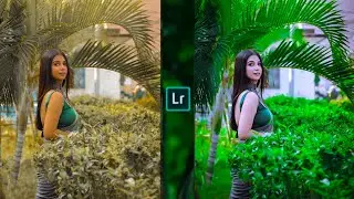 Green and silver Effect Lightroom Photo Editing | Lr Photo Editing | Lightroom Preset Download Free