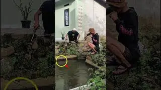 fokus plampung wader is back ‼️ #mancing #youtubeshorts #subscribe