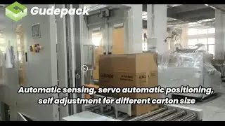 Random Flaps Fold Case Sealing Machine / Servo Automatic Carton Sealer