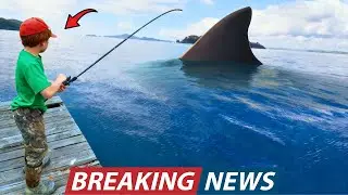 Boy&rsquo;s Fishing Video From New Zealand Shocked Scientists and It Changes What We Know About Extinction