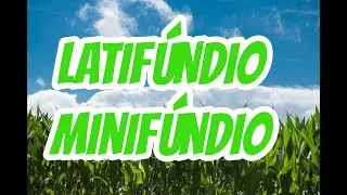 LATIF&Uacute;NDIOS E MINIF&Uacute;NDIOS: QUAIS AS DIFEREN&Ccedil;AS? | EF07GE06