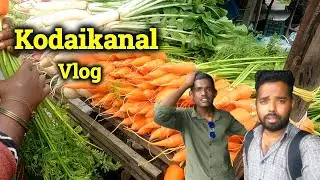 Devakottai To Kodaikanal Vlog -1 | Tamil Travel Vlog | Ajith Vlogger