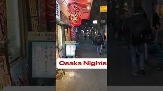 🇯🇵Osaka Night life #japanmalayalam #traveljapan #careerinjapan #travel #ssw #titp
