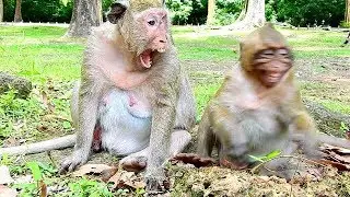 Ah, Why Popeye warning her son sweatpea? | So Sadness Sweetpea screaming mom popey |