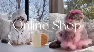 Online Shop/Business 💳
