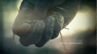 The Straits | Opening Titles