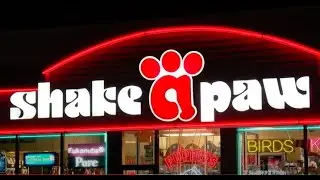 Family says they couldn't leave 'undernourished' Shake-a-Paw puppy at Hicksville store