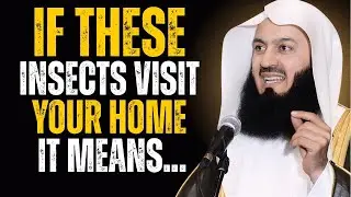 When Insects Visit Your House, Don&rsquo;t Ignore These 6 Warnings from Allah | Mufti Menk