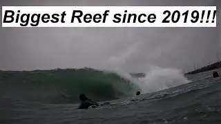 CYCLONE SETH | Biggest Coffs reef in Years!