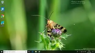 How to Restart Audio Driver in Windows 10 (Tutorial)