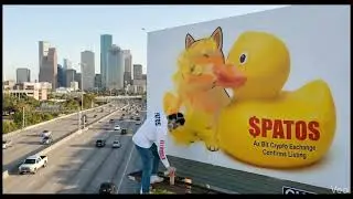 Crypto Trader Spray Paints Over Bonk inu Token Billboard