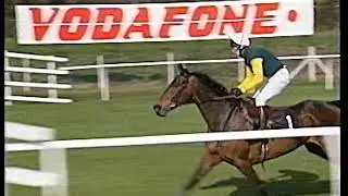 1995 John Hughes Chase Dublin Flyer