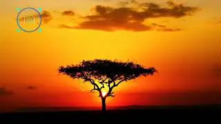 Robbie Williams - Spread Your Wings [Lyrics English - Espa&ntilde;ol Subtitulado]