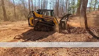 Forestry Mulching And Tree Cleanup