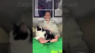 Day 135 of my daily meditation with my cat #catsofyoutube #catmeditation #zencat #cattherapy #cat