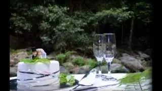 Rainforest Wedding Ceremony - Cairns, Queensland, Australia