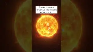 Жуткий факт о Солнце #космос #астрономия #планета #звезда #солнце #вселенная #земля #факты
