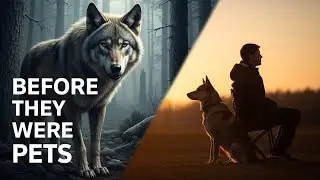Before They Were Pets #dog #puppy #animals #video #history #viral