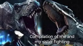 Compilation of me and my sister fighting (enjoy!!!! :) )