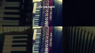 Co jste hasiči #accordion #cojstehasici