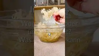 Irish Sea Moss! Wundermittel oder &uuml;berbewertet #gesundehaut #kollagen #gesunderezepte #veganerezepte
