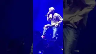 DPR LIVE Martini Blue CTYL2018