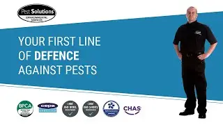 Pest Control Glasgow | Pest Solutions | BPCA | Pest Prevention Glasgow