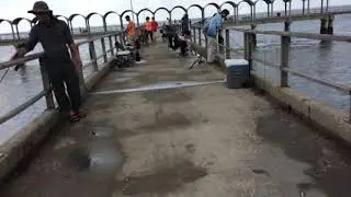 Fishing Pier. Humanity. North end of Jekyll Island