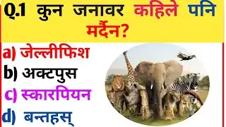 कुन जनावर कहिले पनि मर्दैन ?quiz question #currentgknepal