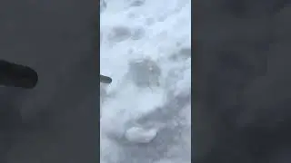 Fake snow or real snow? What did we get?