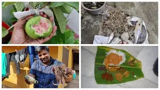 Seafood feast at home/Quick breakfast and seafood lunch vlog/Nandu kozhambu/Egg roast