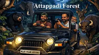 Night Ride Through Attappadi Forest Part-2 #travel #mixtape #gorillatag #attappadiforest #attappady 