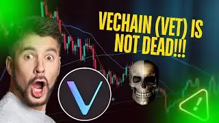 🚨ЯВЛЯЕТСЯ ЛИ VECHAIN ​​(VET) УМЕРШЕЙ МОНЕТОЙ?? АНАЛИЗ ЦЕН [ГОТОВЬТЕСЬ СЕЙЧАС]