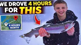 Мы проехали 4 часа ради этой зарыбленной радужной форели.
